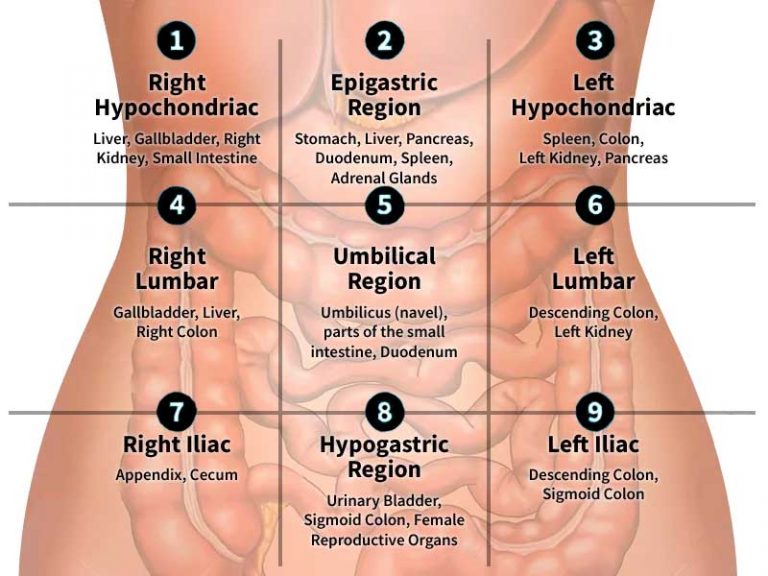 what-is-appendicitis-diagnosis-and-treatment-medfog