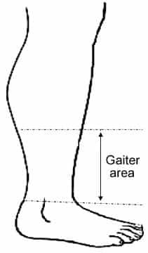 gaiter area 